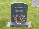image of grave number 488848